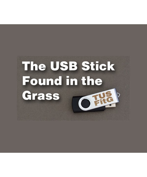 The USB Stick Found in the Grass Steam Key GLOBAL